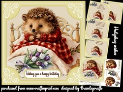 Hedgehog wishes
