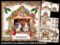 Guinea Pig Christmas