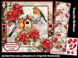 Poinsettia Birdhouse