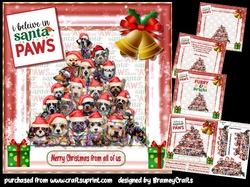 I believe in Santa Paws