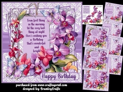 Orchid occasions
