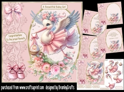 A new arrival baby girl
