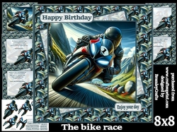 The bike race 8x8