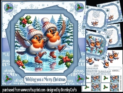 Skating Robins 8x8