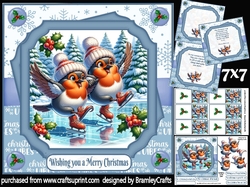 Skating Robins 7x7