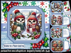 Cute festive owls 8x8