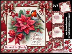 Traditional poinsettias and Robin 7x7