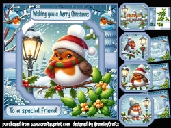 Cute Christmas Robins