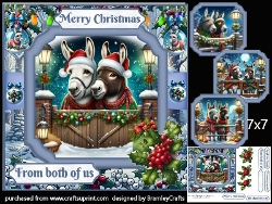 Festive Donkeys