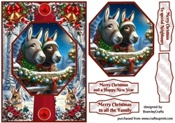 Donkeys at Christmas