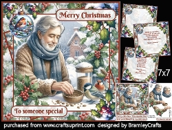 Feed the birds at Christmas