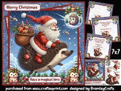 Santa and a Hedgehog
