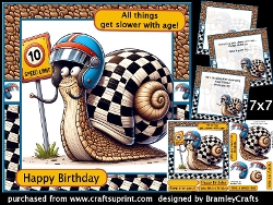 A snails pace