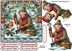 A winter garden Companion