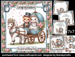 cup1354324_653 - Horse and carriage wedding day