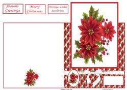 Seasons Greetings Poinsettia