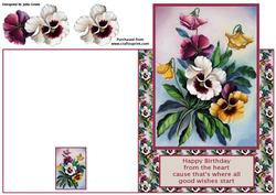 Pansies Galore