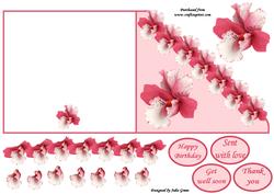 Orchids Galore