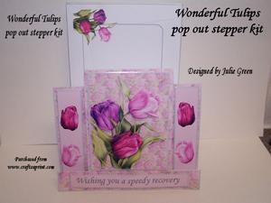 Wonderful Tulips Pop Out Stepper Kit