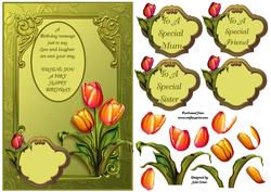 Framed Tulips