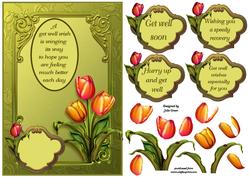 Get Well Tulips