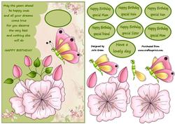 Butterflies and Dragonflies