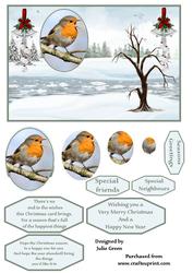 Frosty Robin