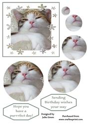 Have a Purrrfrct Day