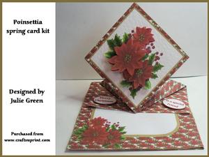 Poinsettia Spring Card Kit