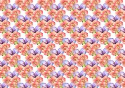 Blooming Flowers