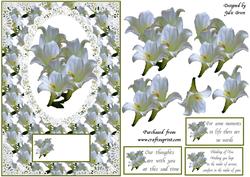 Sympathy Lillies