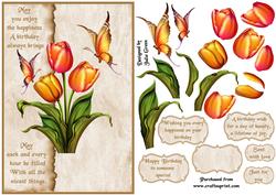 Birthday Tulips