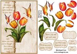 Beautiful Tulips Get Well