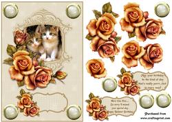 Cats and Roses Birthday