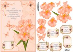 Mother's Day Flowers