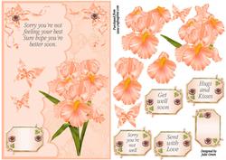 Get Well Wishes
