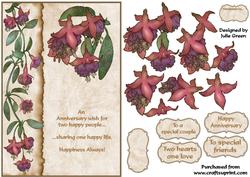 Anniversary Fuschias