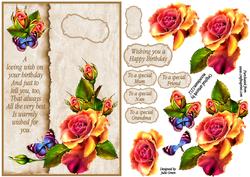 Rainbow Roses Birthday