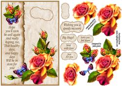 Rainbow Roses Get Well