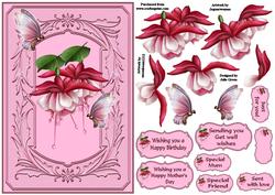 Butterflies and Blooms