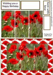 Poppies Galore