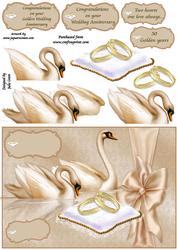 Golden Swans