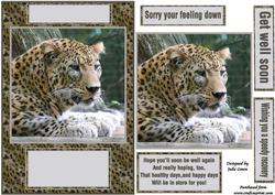 Get Well Leopard