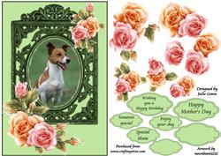Jr in the Roses