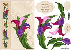 Belated Cala Lillies
