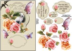 Pets and Petals