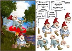 Funatical Gnomes