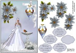 The Snow Princess and the Robin