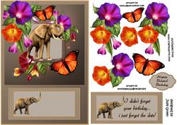 Elephants Never Forget