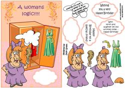 A Womans Logic